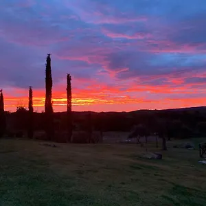 https://bio-agriturismo-la-bellantiglia.it-tuscanyhotel.com